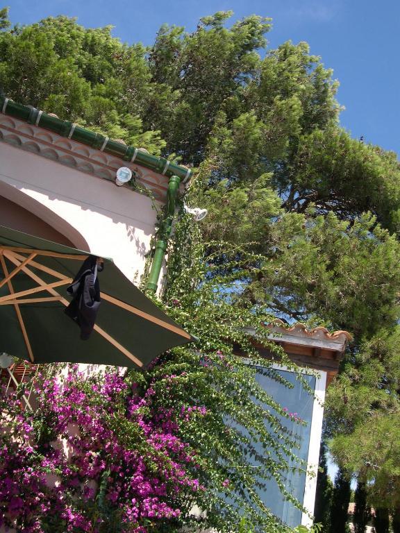 Mas Du Soleilla ξενώνας Ναρμπόν Εξωτερικό φωτογραφία